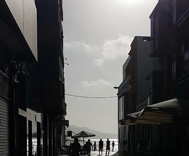 Picaflor * Las Palmas de Gran Canárias