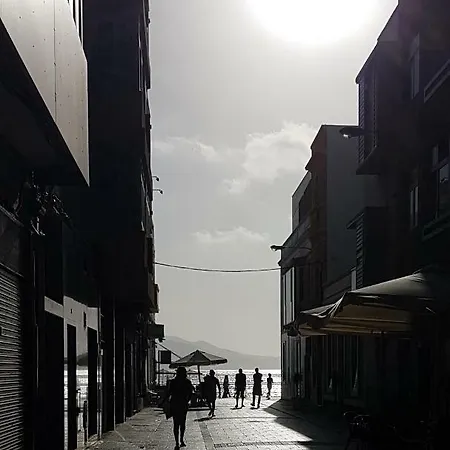 Picaflor * Las Palmas / Gran Canaria